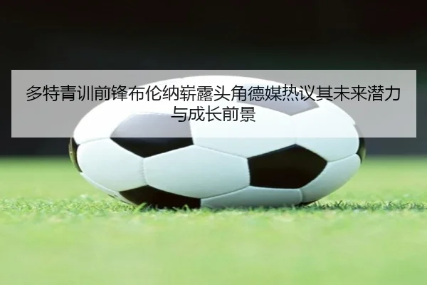 多特青训前锋布伦纳崭露头角德媒热议其未来潜力与成长前景