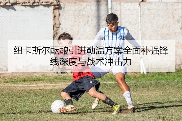 纽卡斯尔酝酿引进勒温方案全面补强锋线深度与战术冲击力